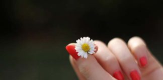 Lakiery Nails Company