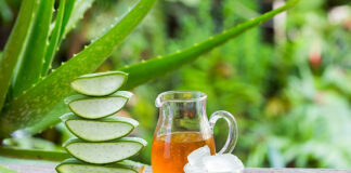 aloes