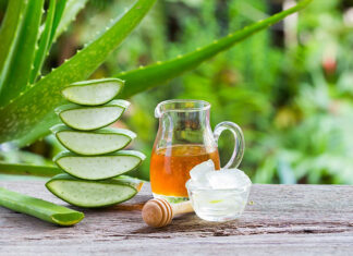 aloes