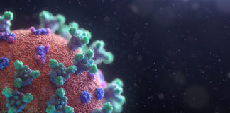 wirus HPV