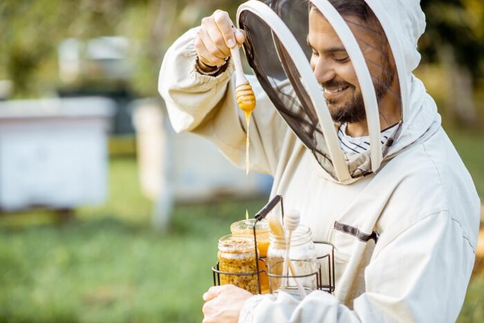 Czy warto kupować miód pszczeli z ekologicznych pasiek