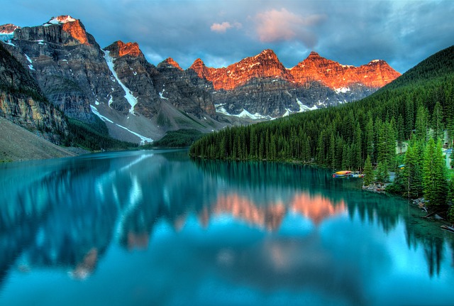 Czy na NFZ można usunąć kamień nazębny? Czy na NFZ można usunąć kamień nazębny?