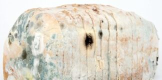 Czym inhalator trzeba dezynfekować?