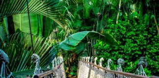 Ile kosztuje kurs refleksologii? Ile kosztuje kurs refleksologii?