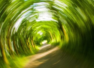 Po jakim czasie od zapłodnienia pojawiają się mdłości?