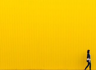 Do czego żółta marynarką?